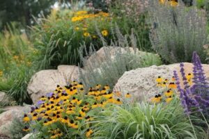 سبک طبیعی در طراحی کاشت گیاهان زینتی