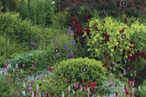 لایه ای کاشت (layering planting)