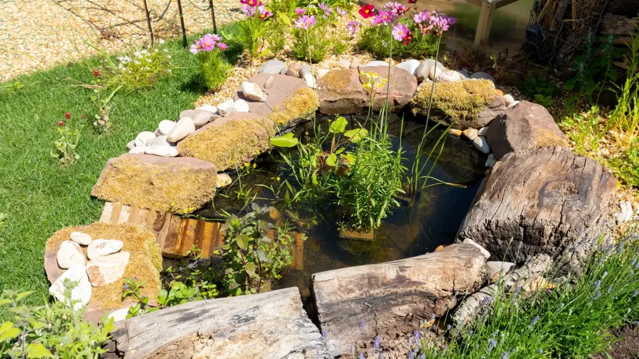 آموزش ساخت برکه