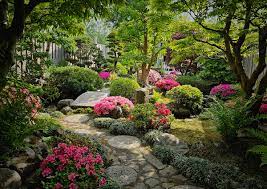 بونسای در باغ ژاپنی