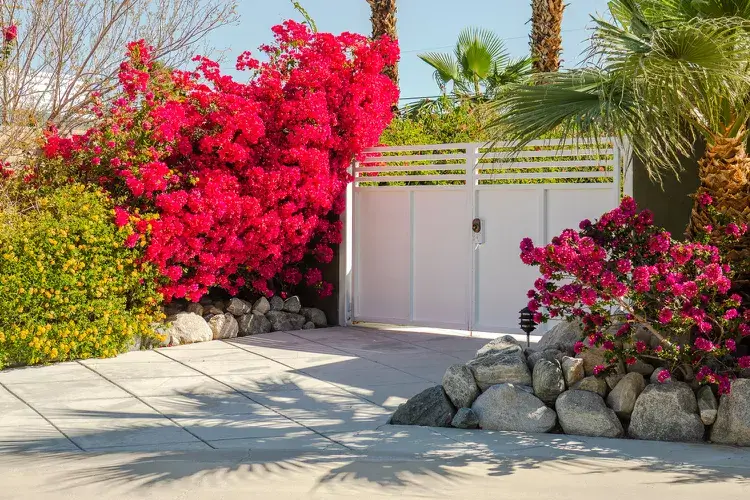 موزاییک در کفسازی محوطه