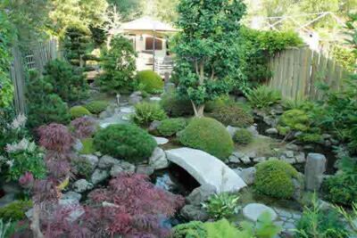 japanese garden summer 2013