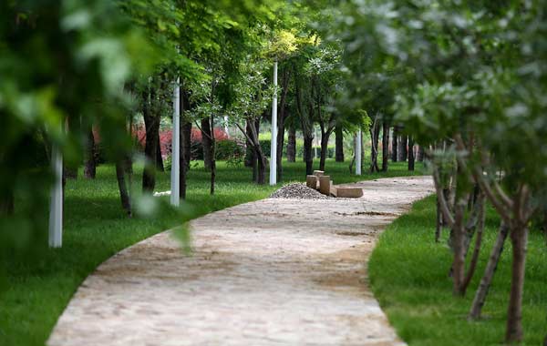 خدمات انتخاب و طراحی کاشت گیاهان فضای سبز شهری