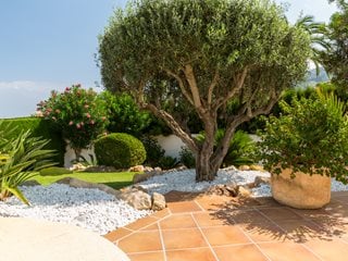 سبک مدیترانه ای در طراحی کاشت گیاهان زینتی
