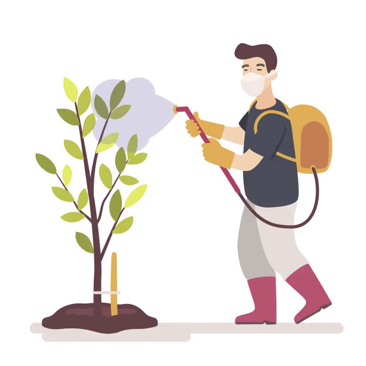 pest protection grower in mask sprays fruit tree vector 25475242