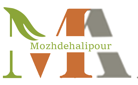 logo4