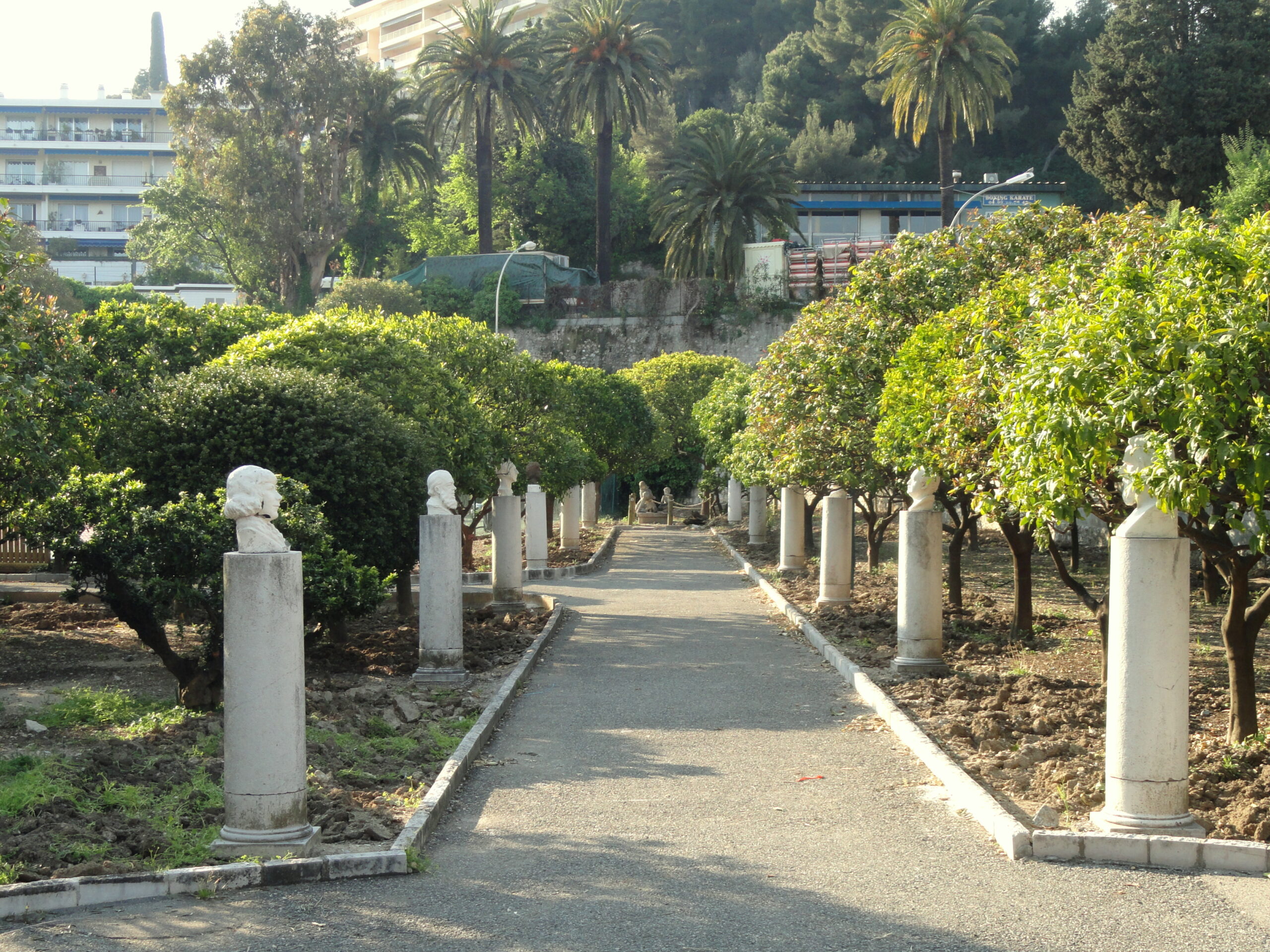 تصویر c-227.JPG گیاه نارنج