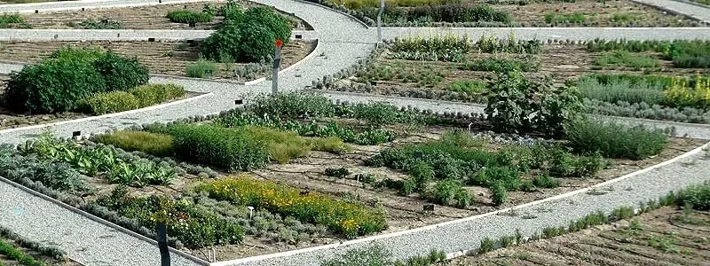 باغ گیاهان داروئی