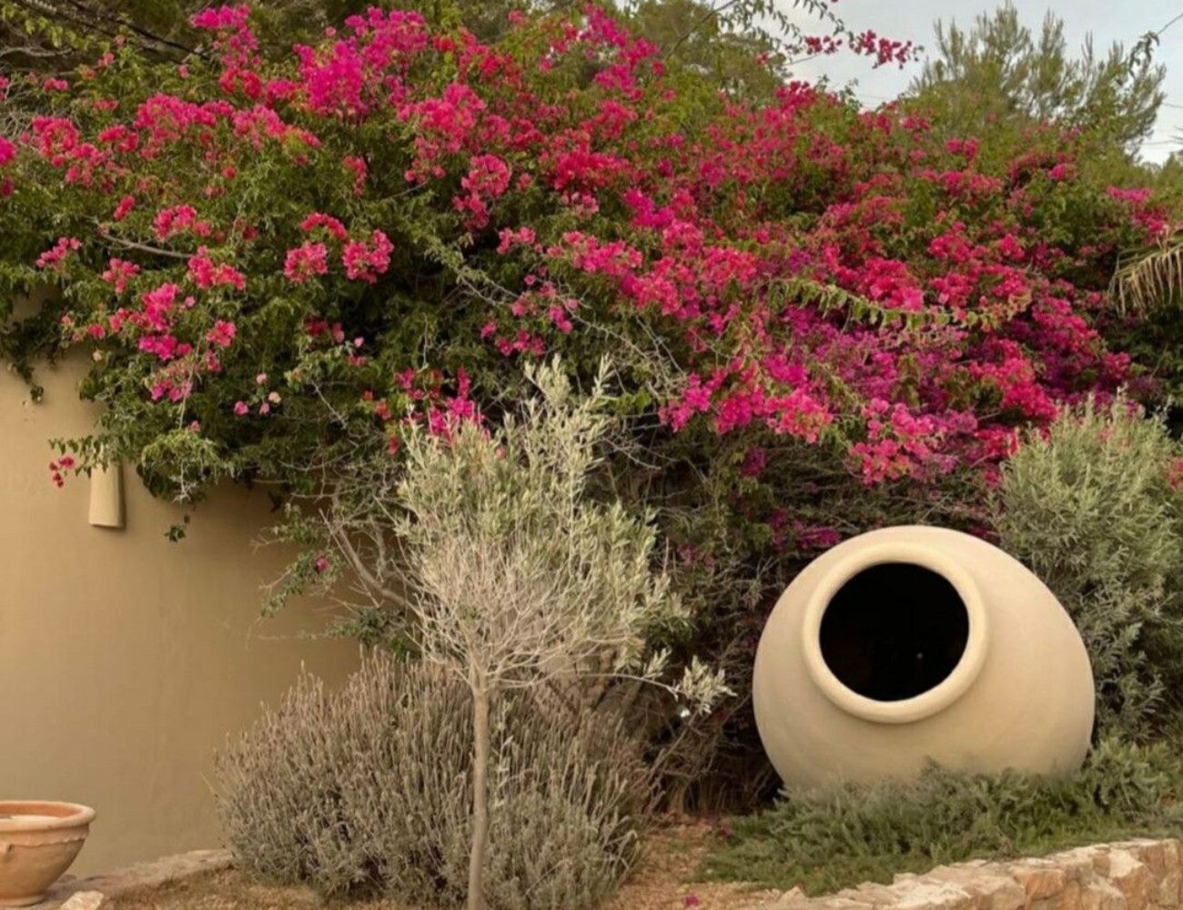 گلدان سفالی در فضای سبز