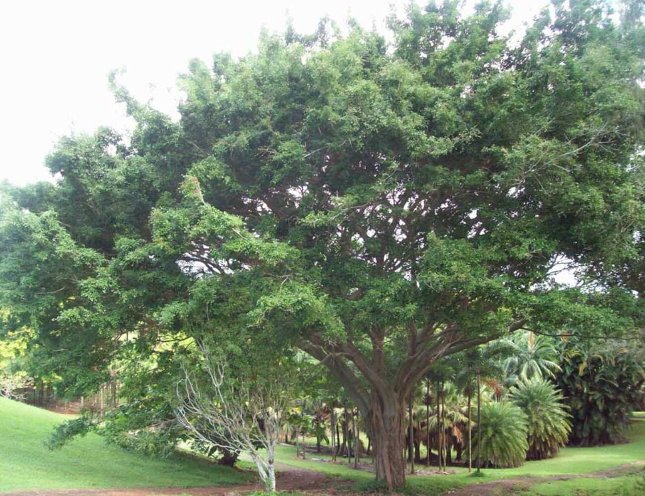 a-138