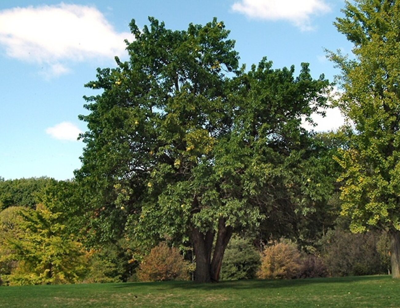 a-139