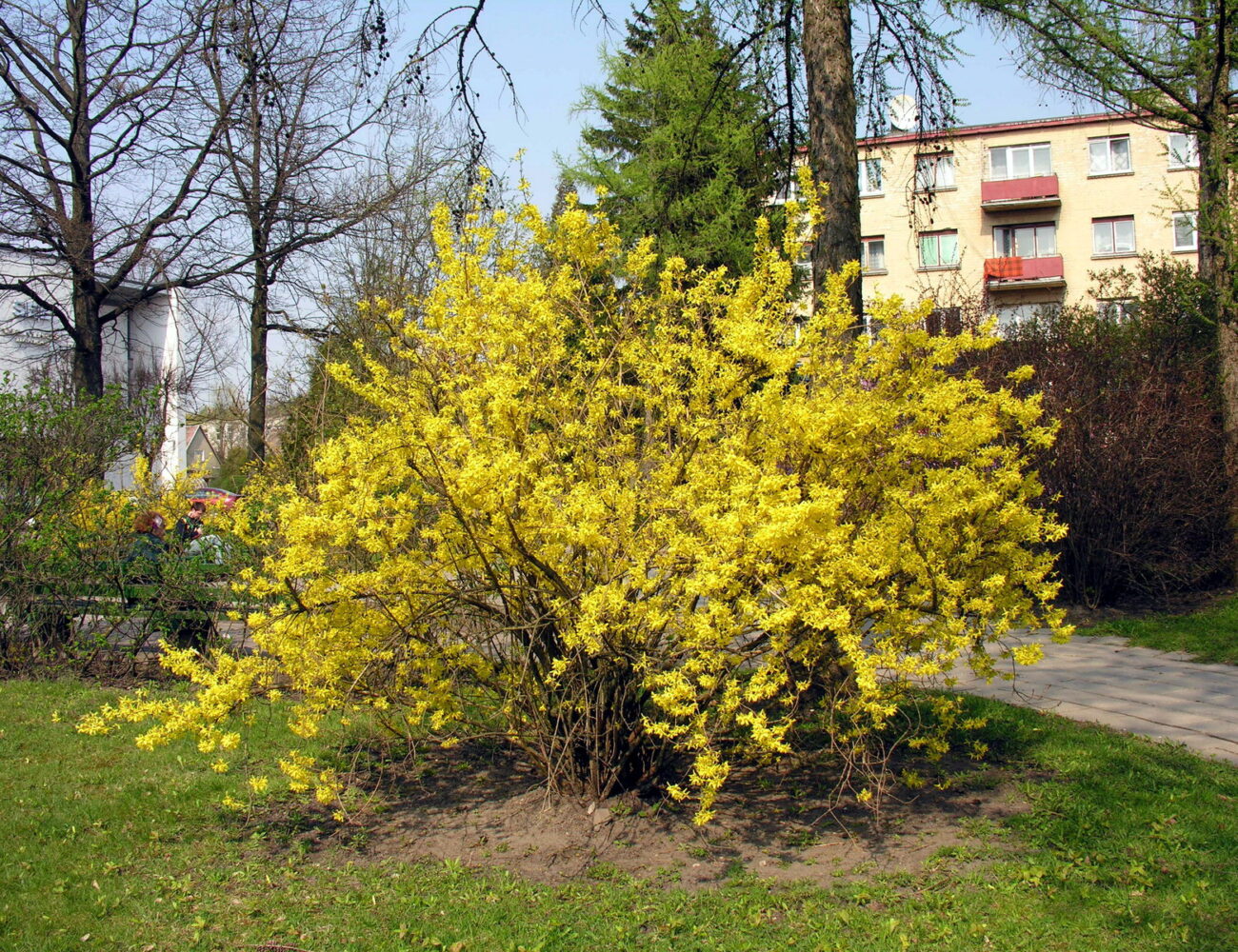 a-151