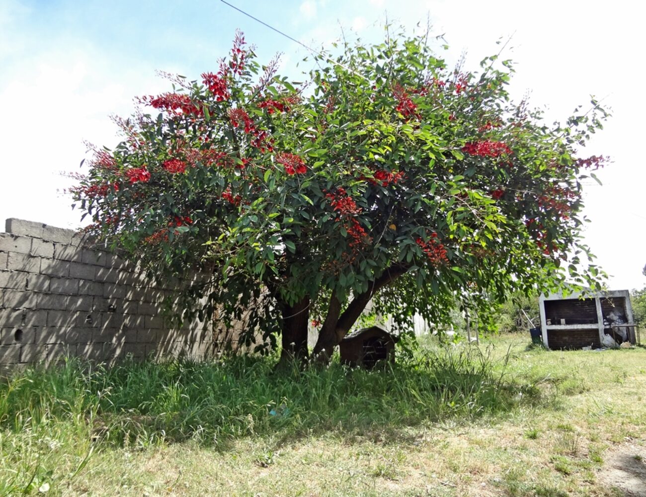 a-168