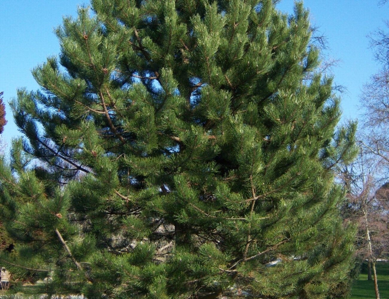 a-186