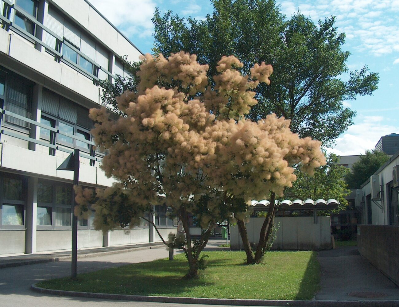 a-4