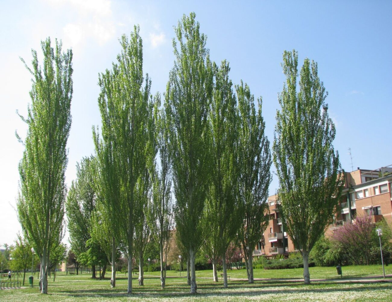 c-228